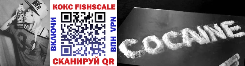 Купить закладки  Устюжна  COCAIN 97% 