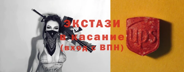 прущие грибы Новый Уренгой