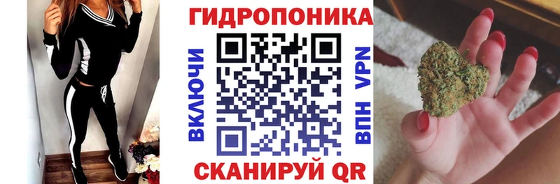 Купить закладки  Устюжна  Марихуана план 